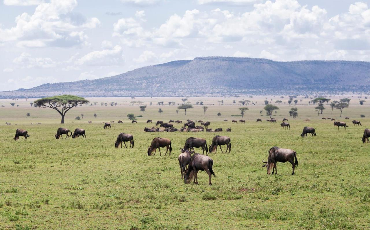 Ngorongoro Lodge Member Of Melia Collection - The Leading Hotels Of The World Extérieur photo