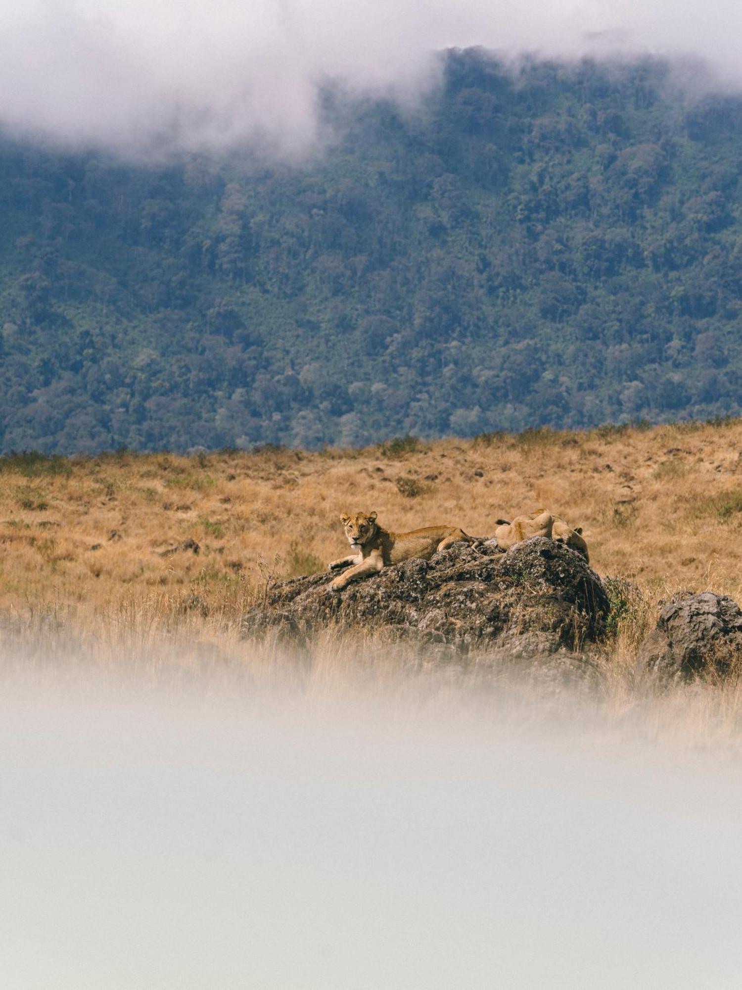 Ngorongoro Lodge Member Of Melia Collection - The Leading Hotels Of The World Extérieur photo