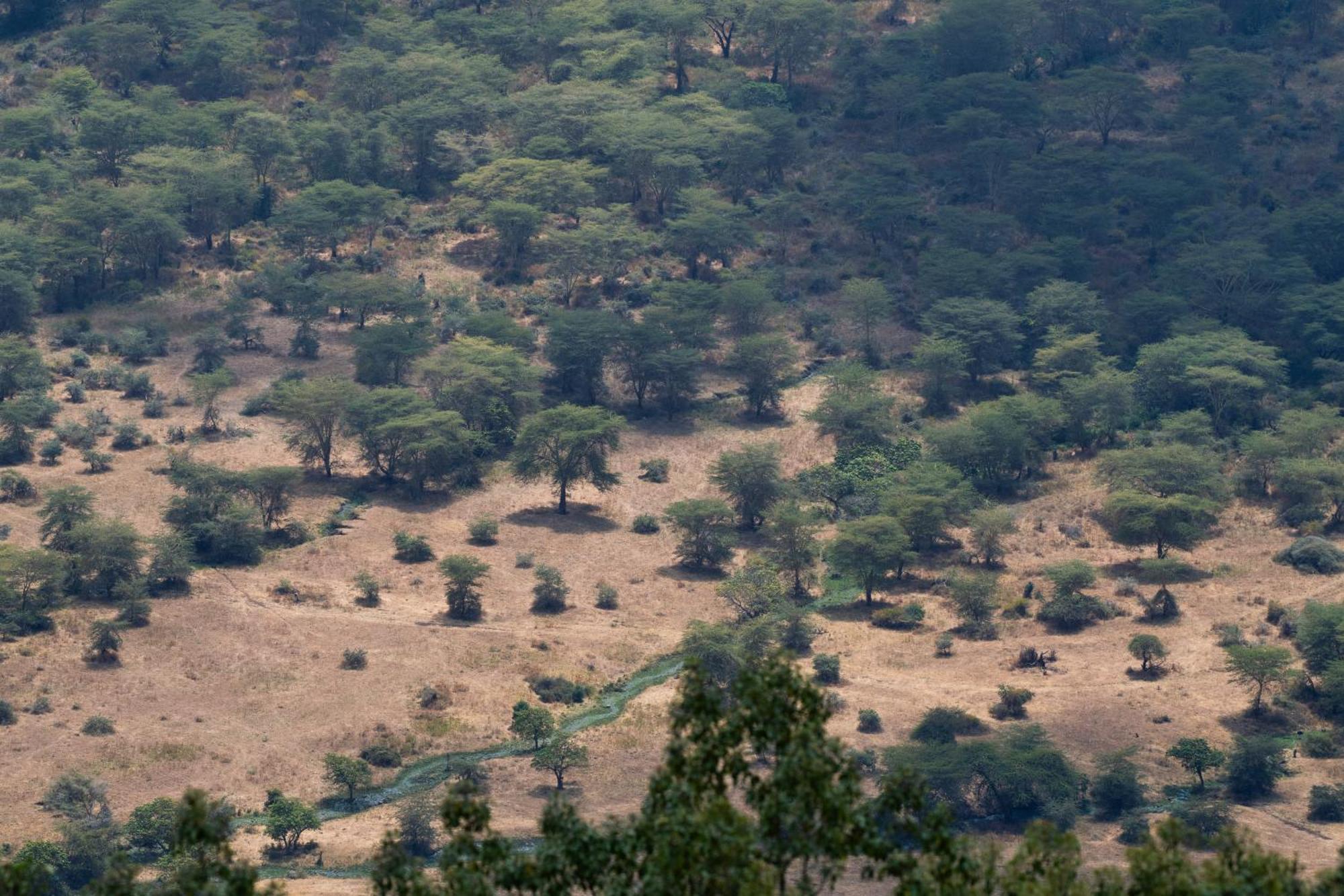 Ngorongoro Lodge Member Of Melia Collection - The Leading Hotels Of The World Extérieur photo