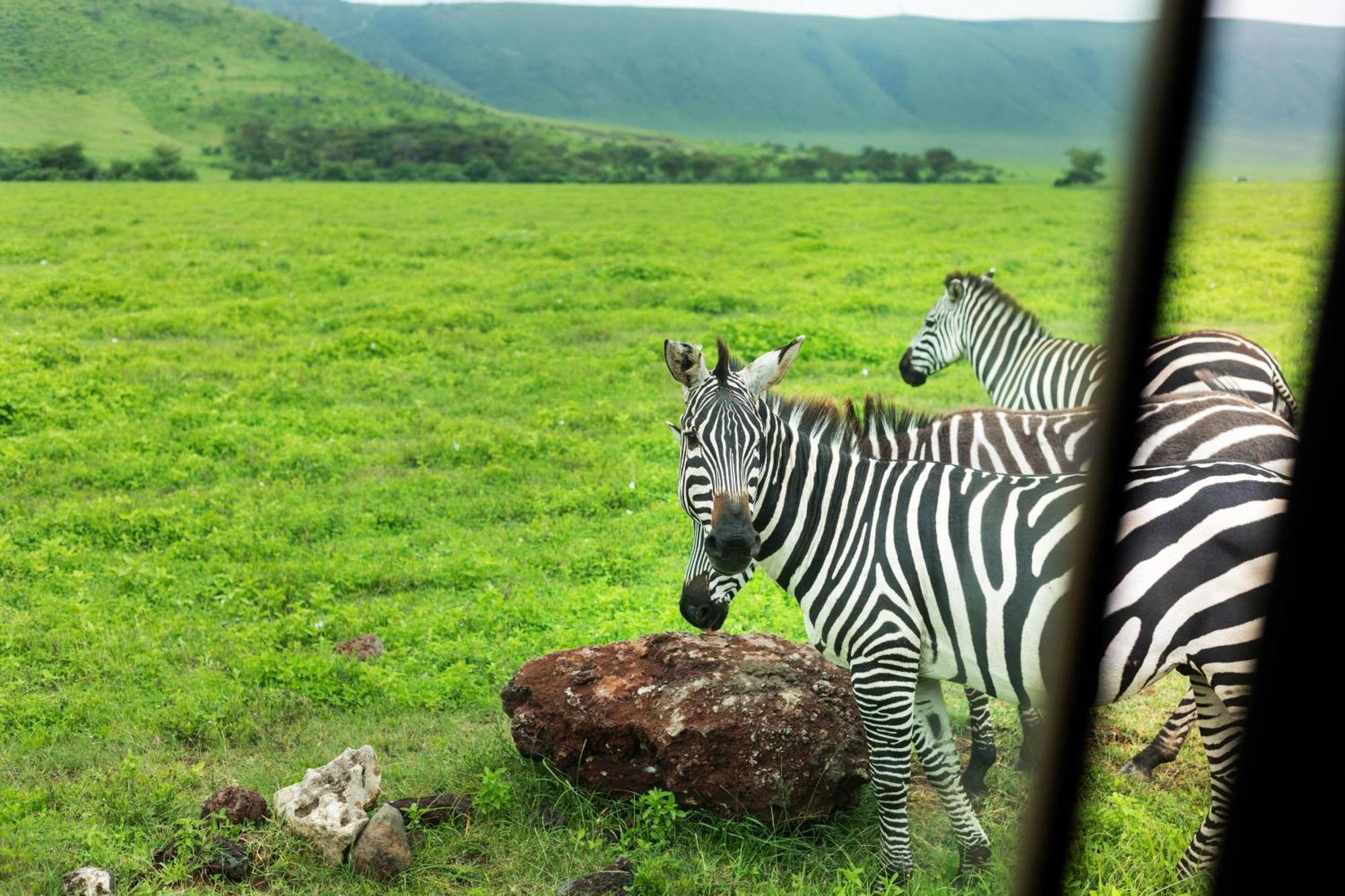 Ngorongoro Lodge Member Of Melia Collection - The Leading Hotels Of The World Extérieur photo