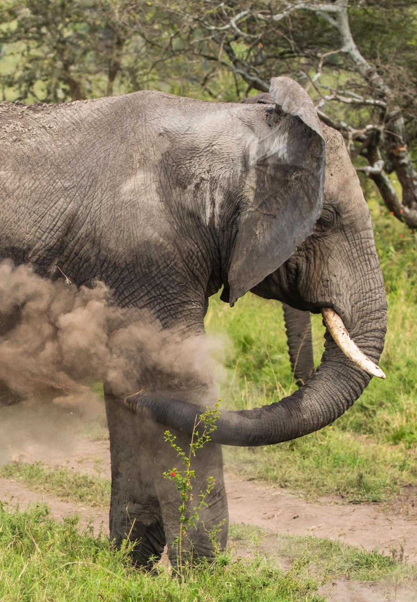 Ngorongoro Lodge Member Of Melia Collection - The Leading Hotels Of The World Extérieur photo